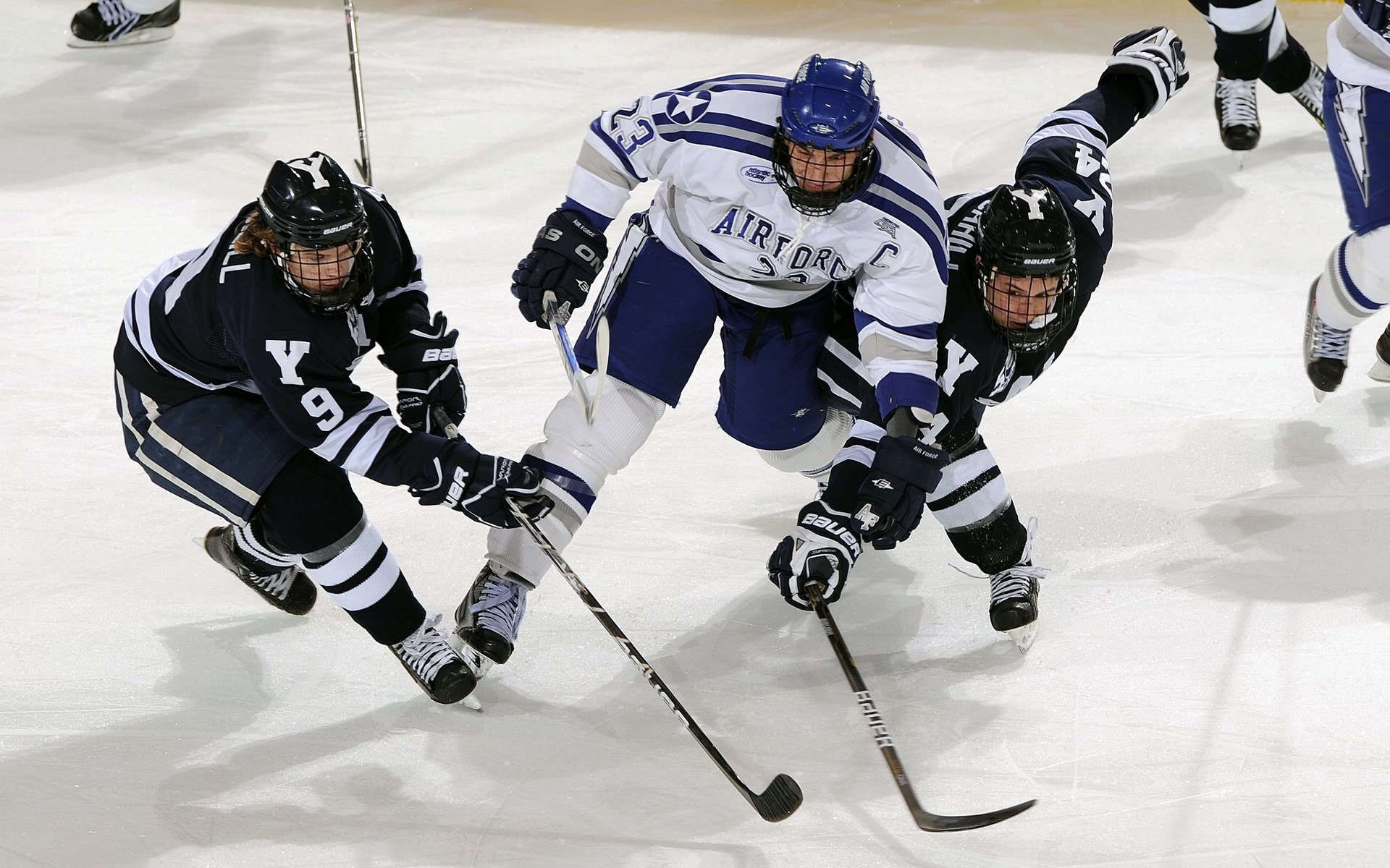 德甲引入先进训练设施，青训体系升级，德甲青训最好俱乐部