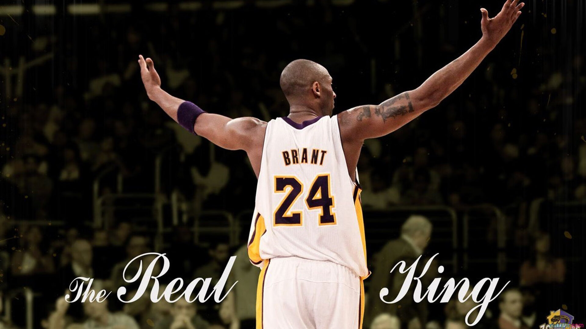 特色青训“技能+素养”双轨升级,加快青少年成长速度